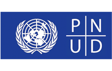 Logo-pnud